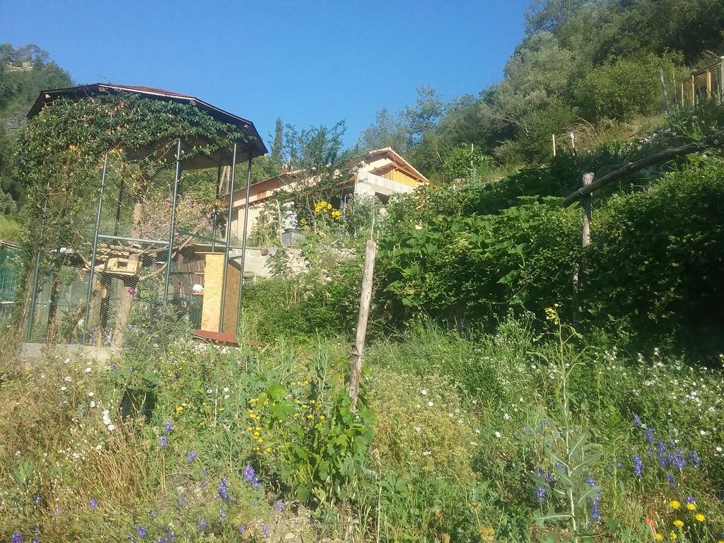 Gallinette Rigaud Exterior foto